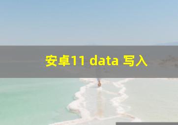 安卓11 data 写入